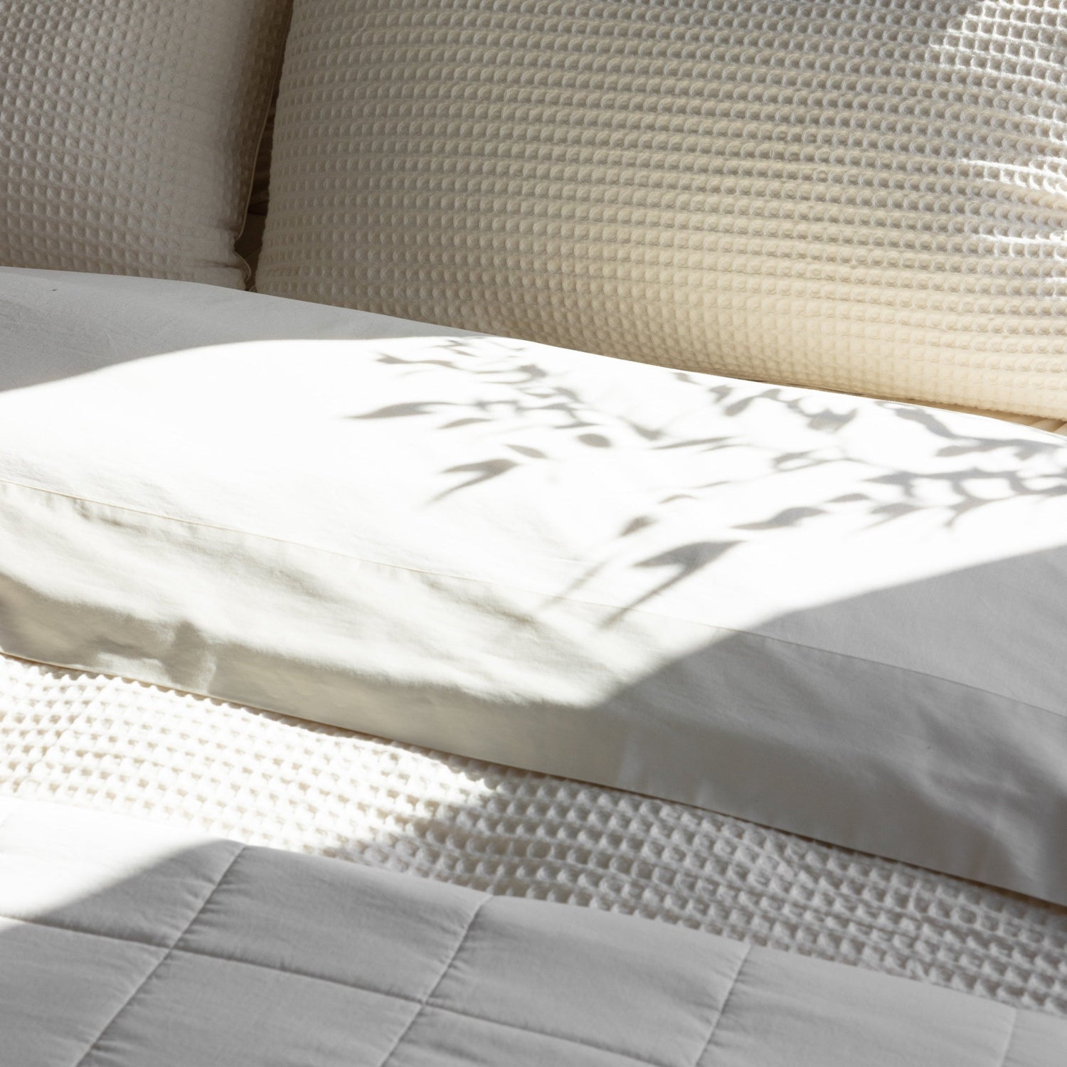Organic Cotton